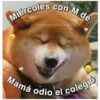 Perritos☆♡ 4 5