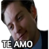 TE AMO