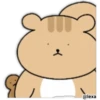 Ardilla  Coreana 7