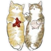 Gatitos hermosos 4 6