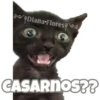 Michi preguntitas 9