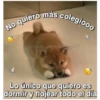 Perritos☆♡ 4 10