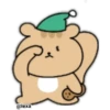 Ardilla  Coreana 8
