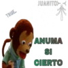 Pedro (el mono) 5