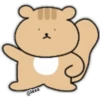 Ardilla  Coreana 9