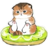 Gatitos hermosos 4 8