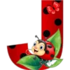 Abc catarina 11
