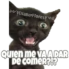 Michi preguntitas 10