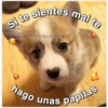 Perritos☆♡ 4 11