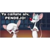 Ya cállate alv,
PENDEJO!
HI