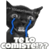 Michi preguntitas 11