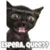 Michi preguntitas 12