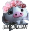 Ayjaneth
&ME QUIERES?