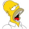 HOMERO SIMPSON 2 13