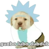 Perrito pack 3 8