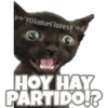 Michi preguntitas 16