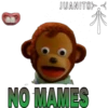 Pedro (el mono) 7