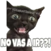 Michi preguntitas 18