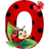 Abc catarina 16