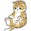 Gatitos hermosos 4 16