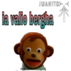 Pedro (el mono) 8