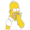 HOMERO SIMPSON 2 15