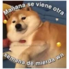 Perritos☆♡ 4 15