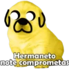 Perrito pack 3 11