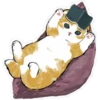Gatitos hermosos 4 17