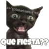 Michi preguntitas 19