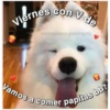 Perritos☆♡ 4 18