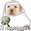 Perrito pack 3 15