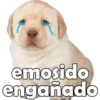 Perrito pack 3 16