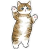 Gatitos hermosos 4 20