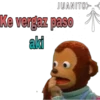 Pedro (el mono) 12