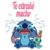 Stitch 19