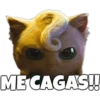 @emmARIAS91
MECAGAS!!