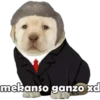 Perrito pack 3 17