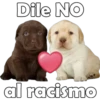 Perrito pack 3 18