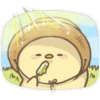 www.
WI