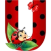 Abc catarina 21