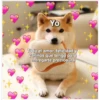 Perritos☆♡ 4 22