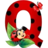 Abc catarina 22