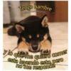 Perritos☆♡ 4 23