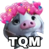 @Ayjaneth
TQM