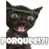 Michi preguntitas 22