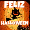 Halloween cat 24