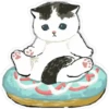 Gatitos hermosos 4 22
