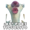 esorCHeO
ILQ
RAY! POBE
TIGUESITO