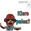 Pedro (el mono) 14